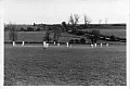 Cricket Match - Northleach 1956